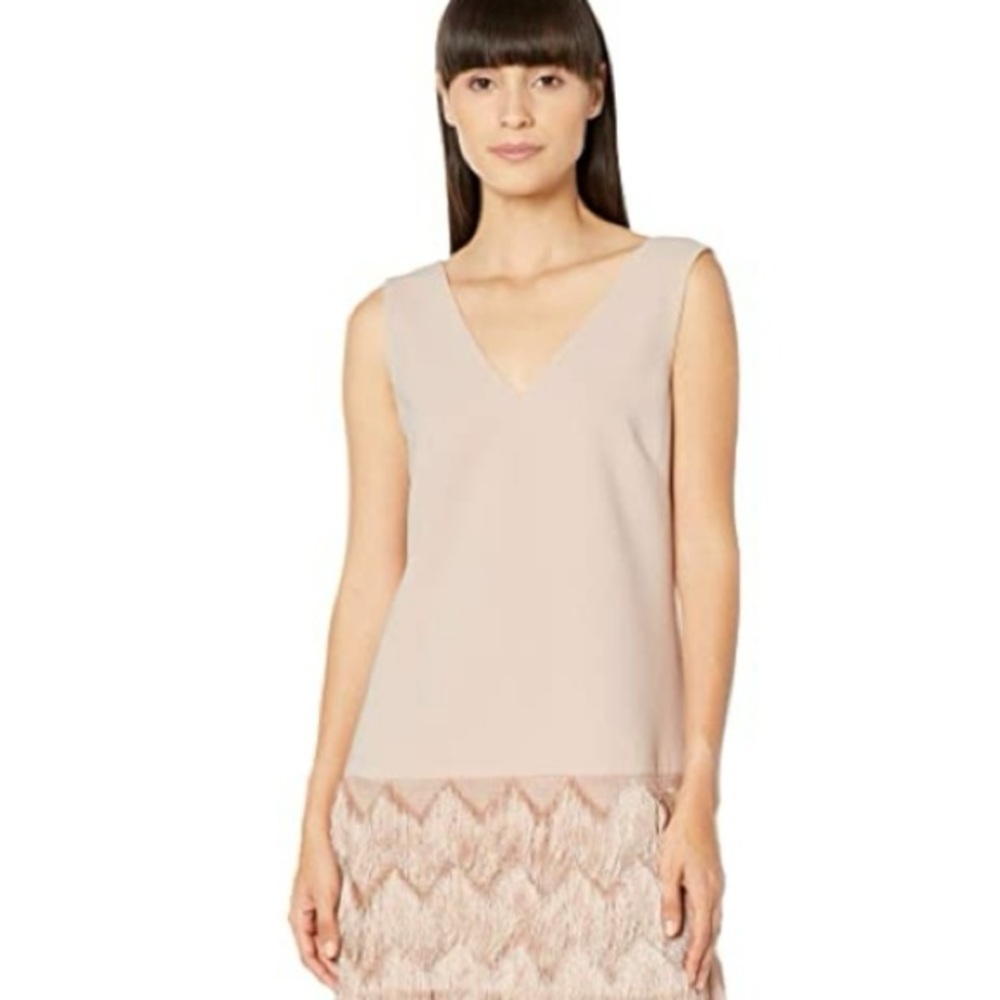Bcbgmaxazria Addilyn Dress with Fringe Detail Size 10 - Picture 4 of 9